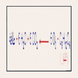يحدث التنفس الخلوي في وجود