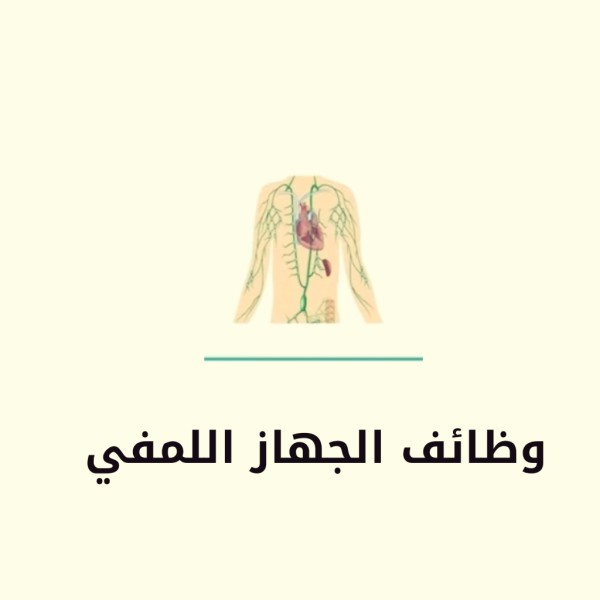 ما الوظائف الرئيسة للجهاز اللمفي