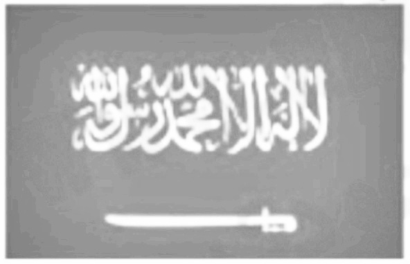 حددي محاور التماثل الشكل التالي