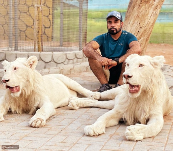 مقطع فيديو خطير يسبب توقيف مشهوراً اماراتياً