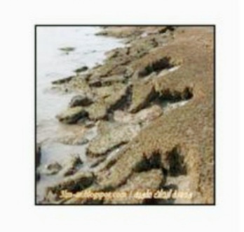 أحد عوامل تعرية سطح الأرض هو الجليد