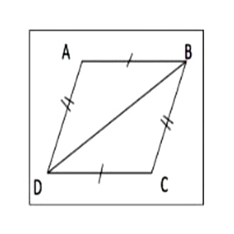 هل العبارة الآتية صواب أم خطأ △BDC =~ DBA△ من مسلمة SSS‏
