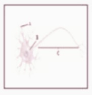 يمثل الجزء A محور الخلية العصبية والجزء B جسم الخلية والجزء C الزوائد الشجيرية للخلية العصبية