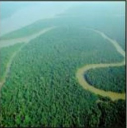 التجوية الكيميائية سريعة في المناطق الاستوائية