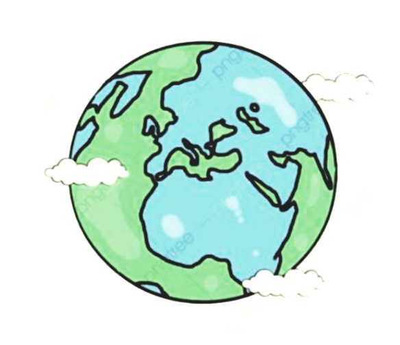 ما المستوى التنظيمي الذي تمثله الصورة الاتية